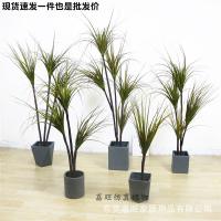 uploads/erp/collection/images/Home Garden/dgjiawang/XU0612902/img_b/XU0612902_img_b_1